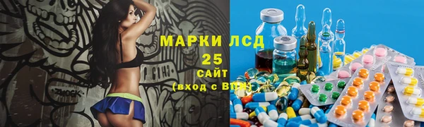 амф Апатиты