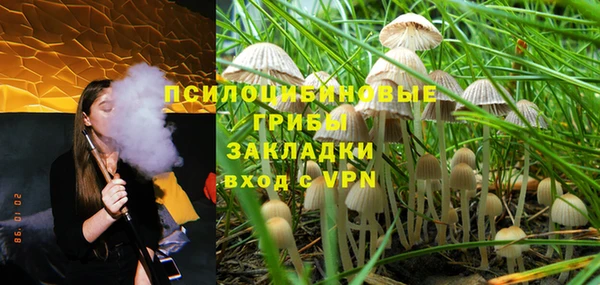 винт Михайлов