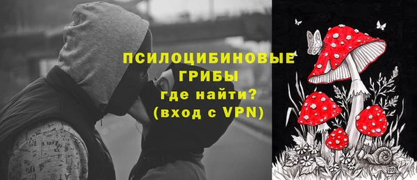 амф Апатиты