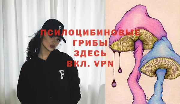 винт Михайлов