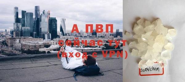 амф Апатиты