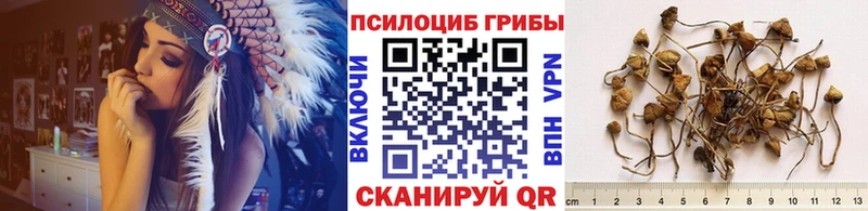 продажа наркотиков  Пенза  сайты даркнета наркотические препараты  Галлюциногенные грибы мухоморы 