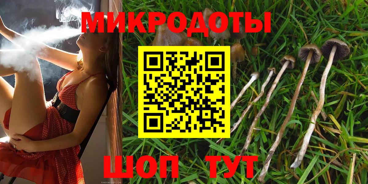 Псилоцибиновые грибы Psilocybine cubensis  Пенза 