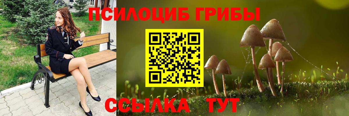 Галлюциногенные грибы Magic Shrooms Пенза