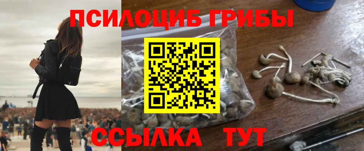 Галлюциногенные грибы Cubensis  закладка  Пенза  Вход с VPN  Галлюциногенные грибы MAGIC MUSHROOMS 